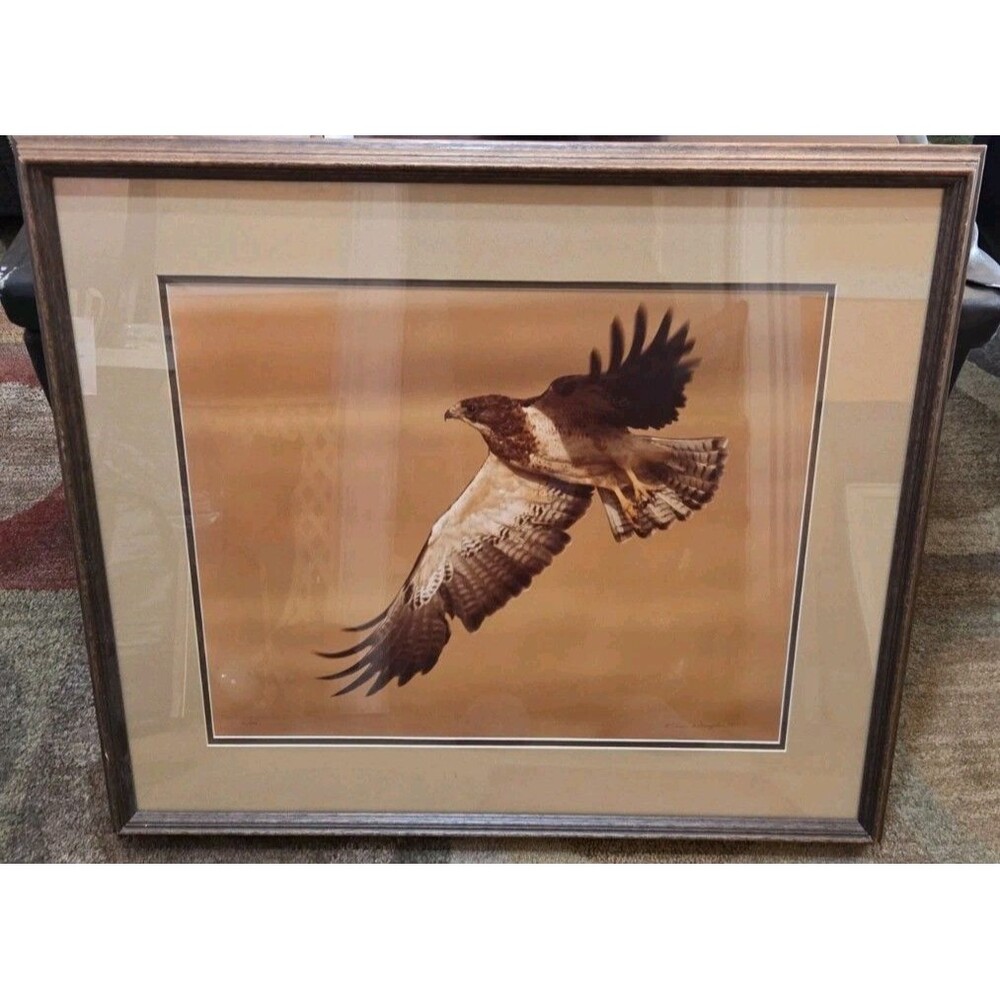 Vintage Thomas D. Mangelsen Signed 126/500 Unknown Bird In Flight Framed Art